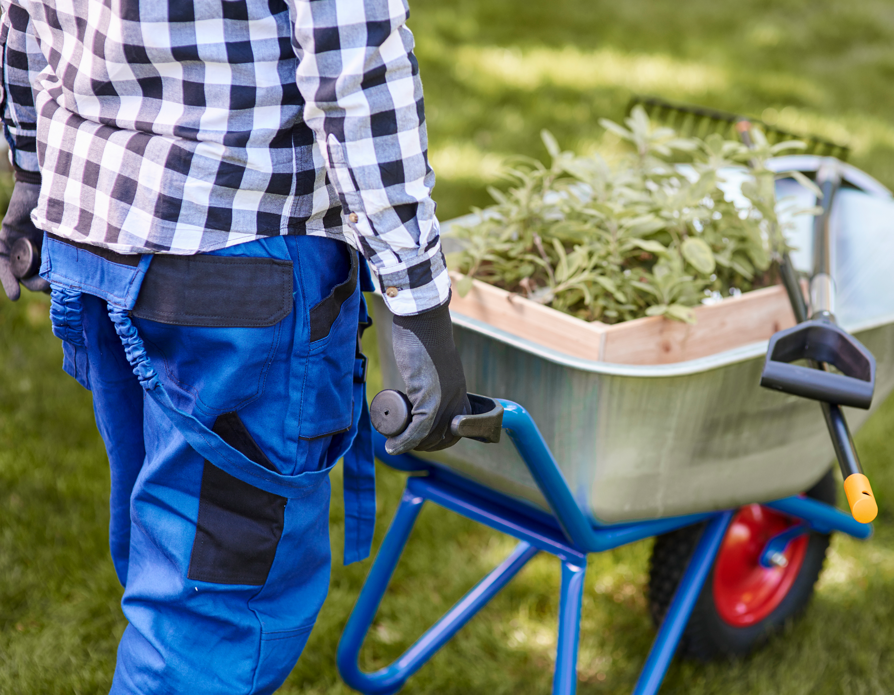 Landscaping & Outdoor Services